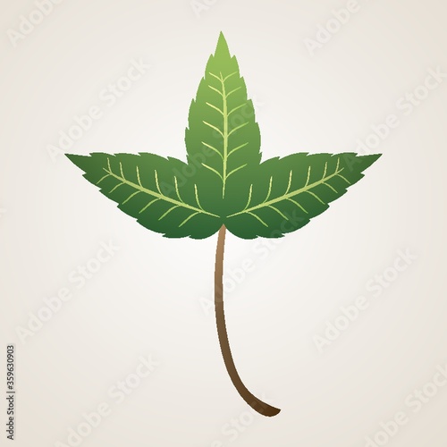 Leaf