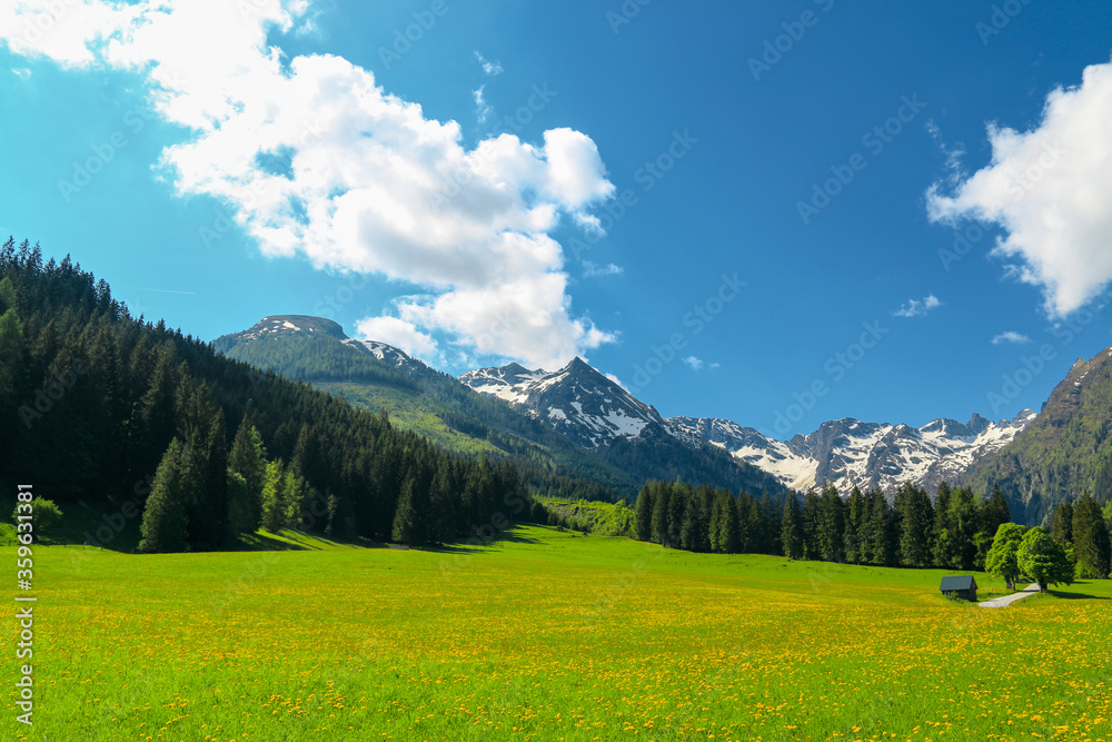 Scenic view of an idyllic alpine pasture at the Schladminger Tauern mountain range near the Steirischer Bodensee, Schladming region, Styria, Austria