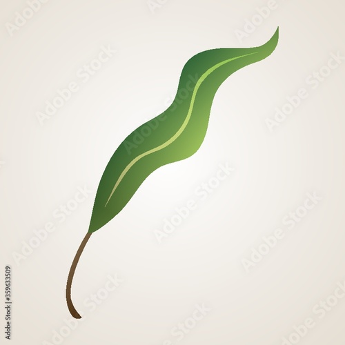 Leaf