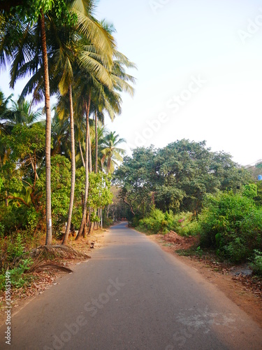 Canvas Print Patnem road