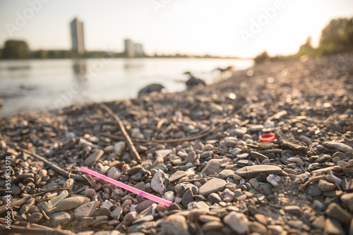 Wallpaper Mural Strohhalm, Plastikmüll angeschwemmt am Flussufer Rhein, Bonn Beuel Torontodigital.ca