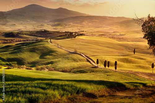 Rolling hills of Tuscany at sunset. Idyllic countyside of Val d'Orcia.