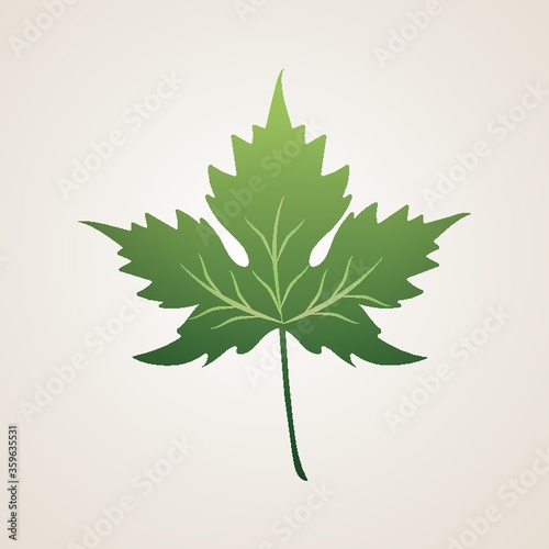 Leaf