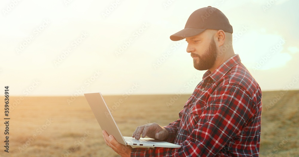 Portrait shot from a side on the caucasian middle age farmer taping and typing on the laptop computer while being in the middle of the field.