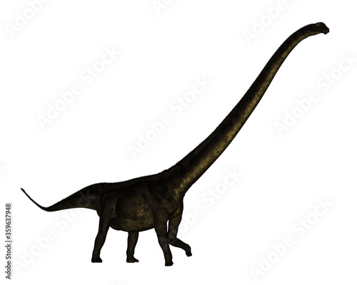 Mamenchisaurus dinosaur walk isolated in white background