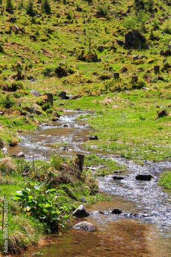 Scenic view of a stumpy countryside and a small pure creek rushing down the Schladminger Tauern mountains towards the "Steirischer Bodensee", Austria