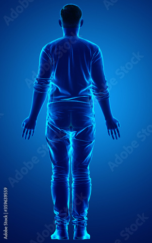 3d rendered illustration of the male body © pixdesign123
