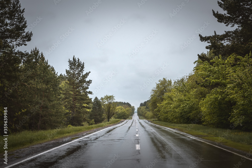 Obraz premium Wet country road. Rainy weather.