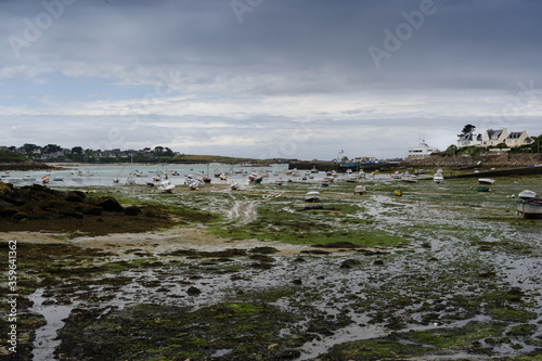 Breton coastal landscape. The Roscoff stranding port. Beach at low tide, seaweed and sand. Some fishermen's houses. Cloudy sky.