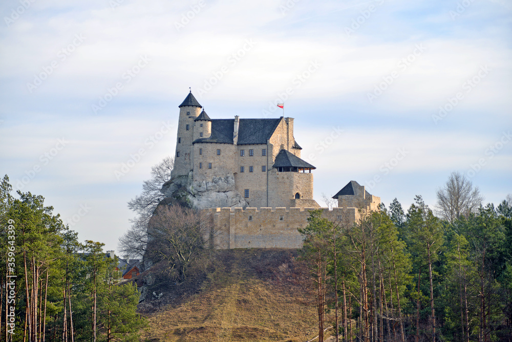 castle in the mountains Mirów