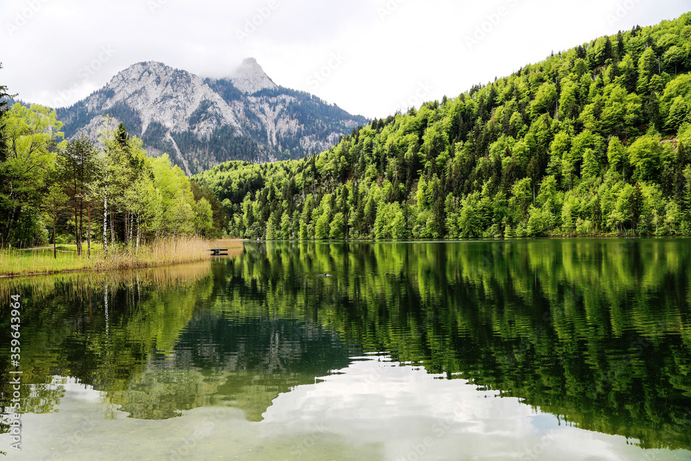 A reflection of the mountain and the forest in the lake of Bavaria