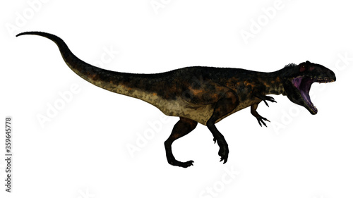 Terrifying giganotosaurus dinosaur walking and roaring isolated in white background