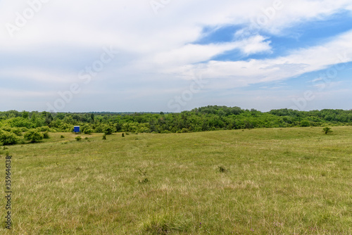 A field in the "Deliblatska pescara" in Serbia. Deliblato Sands is a large area covering around 300 km² of ground in Vojvodina province, Serbia © nedomacki