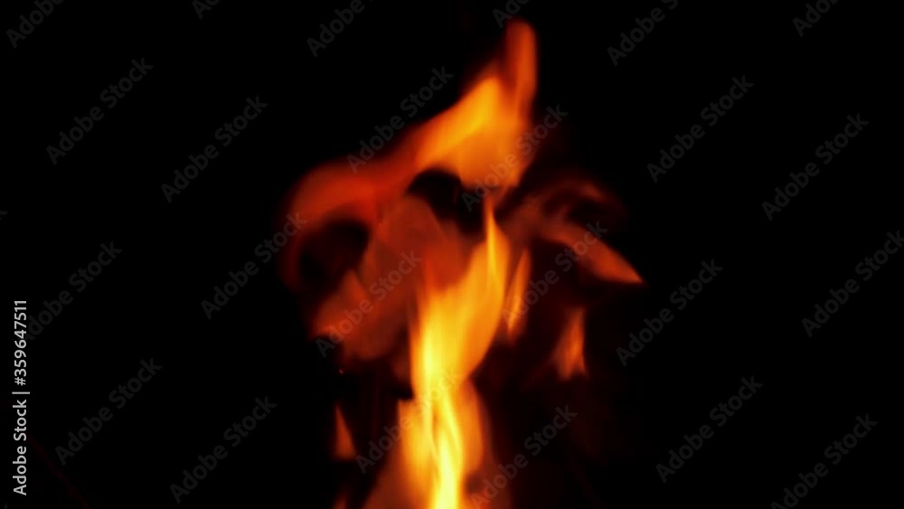 Real fire flames isolated on black background. Bonfire from the grass. Fire for making effects. Real fire flames isolated on black background. Bonfire from the grass. Fire for making effects.
