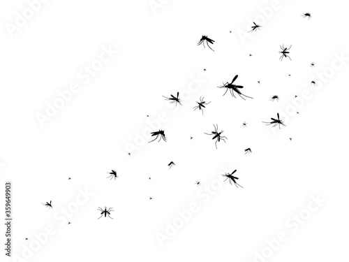 Flying mosquitoes. Black silhouette mosquito, swarm flying insects spreading disease dangerous infection and viruses, gnat pest vector image © YummyBuum