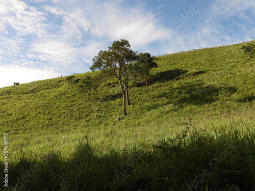 Shola Grass Land, Nilgiris photo