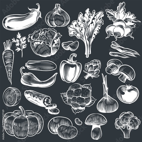 Chalk drawing of vegetables. Various vintage hand drawn vegetable, organic carrots broccoli eggplant, cabbage and mushroom, farming. Sketch vector set