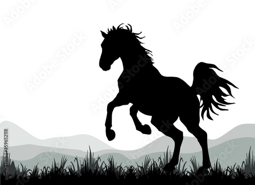 dark silhouette of a wild horse galloping against the evening sky   isolated monochrome  image