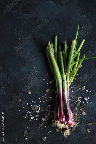purple spring onions on dark table background