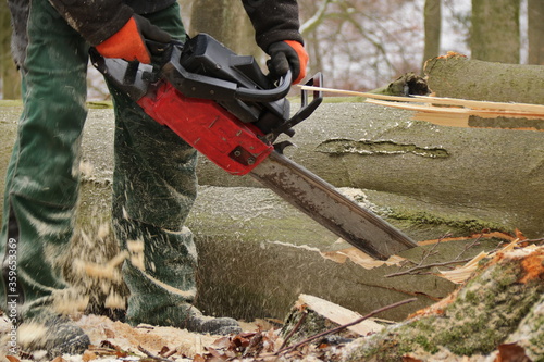 Holzfäller mit Kettensäge zersägt Baumstamm Nahaufnahme
