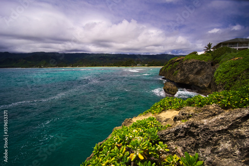 beautiful wild coast in Hawaii