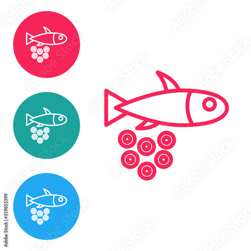 Red line Fish with caviar icon isolated on white background. Set icons in circle buttons. Vector..