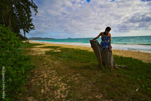 relaxation on the dream beach in hawaii
