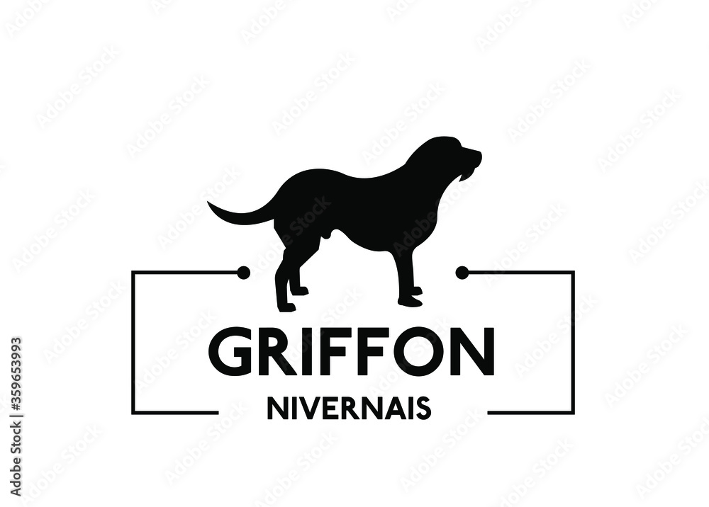 Griffon Nivernais - dog