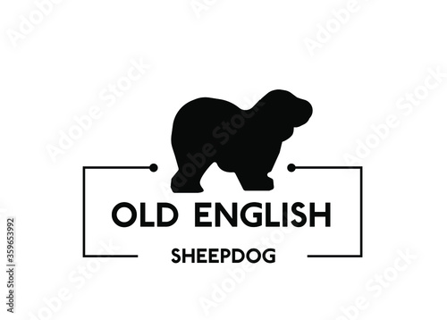 Old English Sheepdog - dog