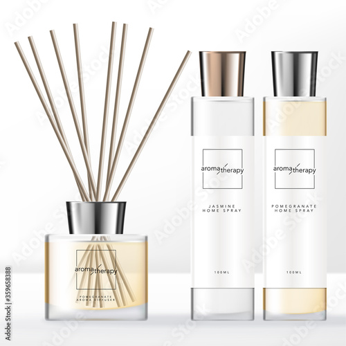 Vector Minimal Style Aroma Diffuser Set with Silver Cap Home Spray Clear Bottle.