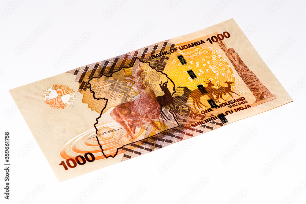 Currancy banknote of Africa