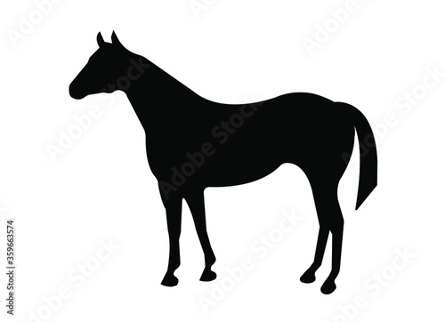 Horse side view  vector