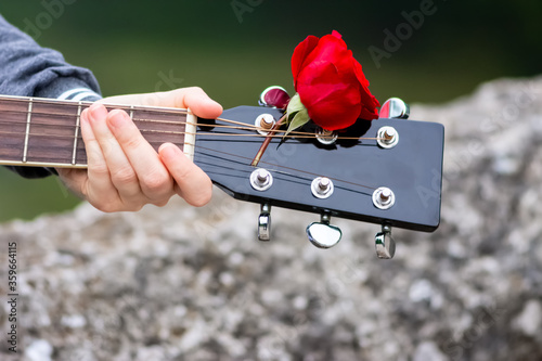 Close up of guitar headstock decorated by red rose photo