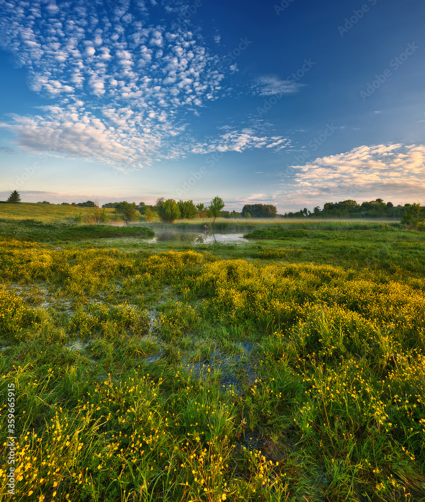 Naklejka premium Beautiful spring sunrise over river banks