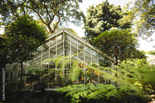 A greenhouse with various plant inside it