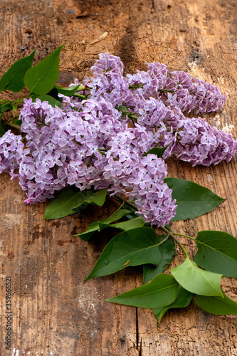 lilac flowers on wooden background