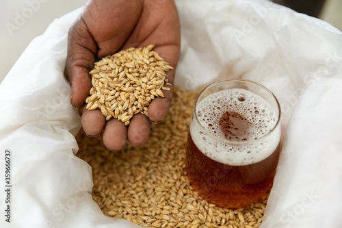 African American man holding malt in a brewery with a beer 