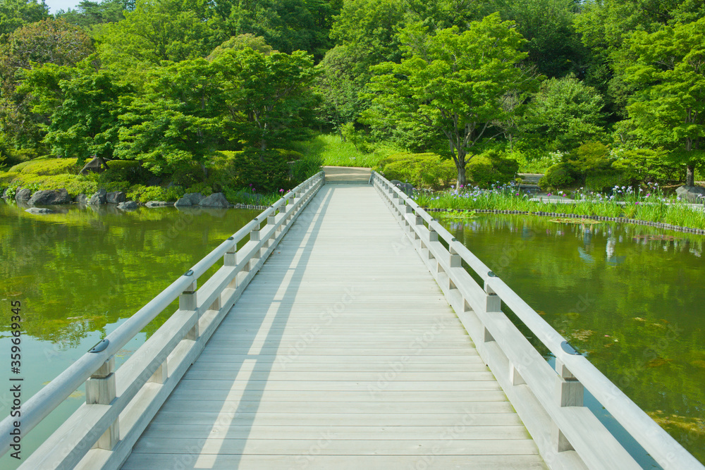japanese garden bridge