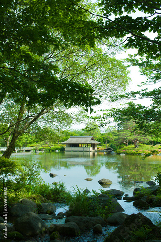 japanese garden