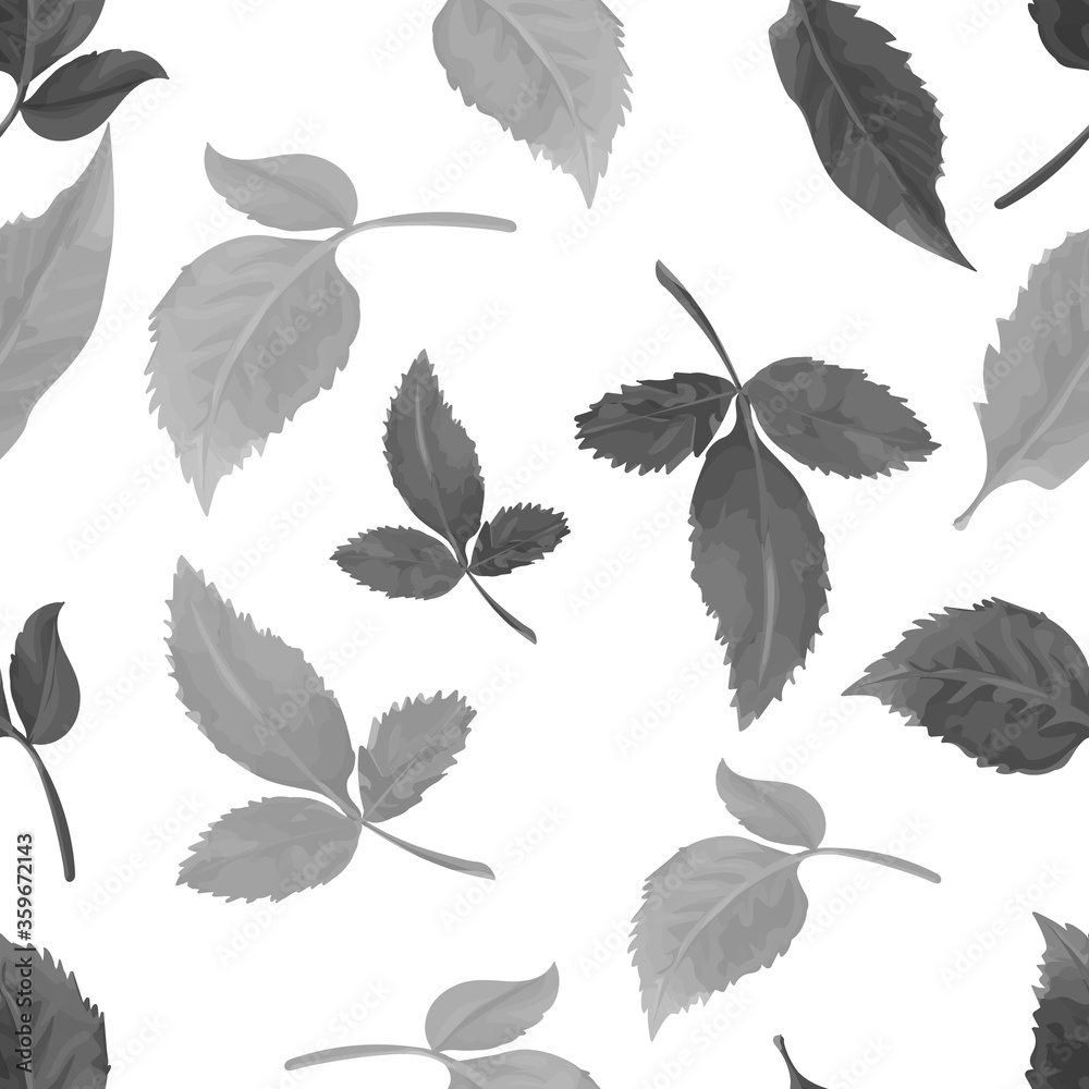 Monochrome seamless pattern with leaves on a white background. Hand drawn. Vector illustration.