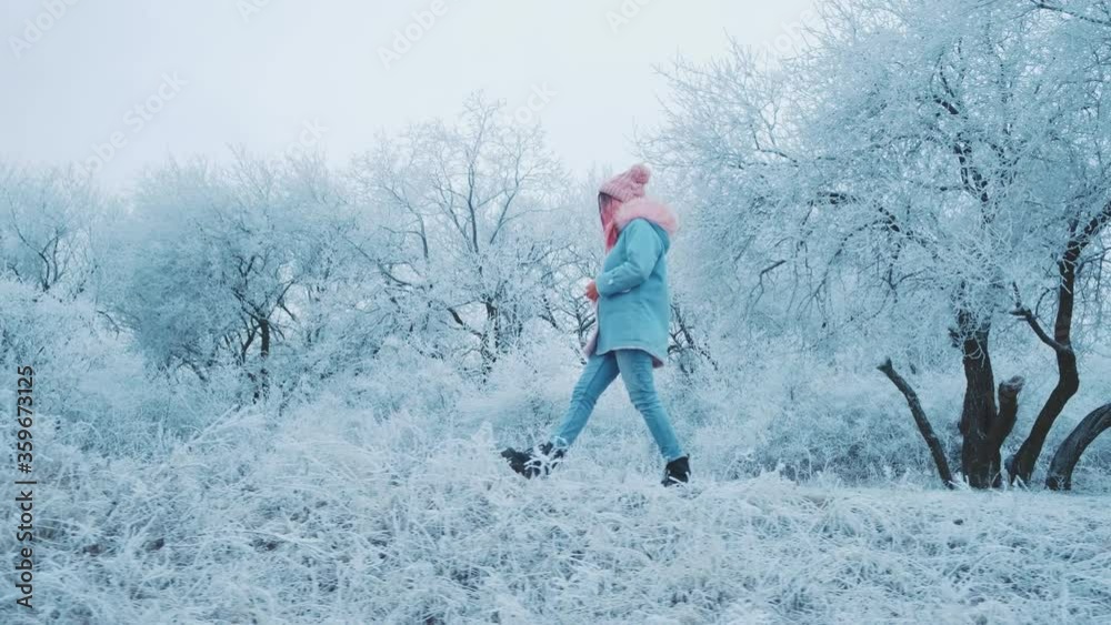 Young woman walks in fabulous beautiful frosty forest. Girl enjoys silence, rest active, beauty winter trees. Concept harmony with nature. Long hair. Warm blue jacket, hood, pink fox fur, knitted hat Young woman walks in fabulous beautiful frosty forest. Girl enjoys silence, rest active, beauty winter trees. Concept harmony with nature. Long hair. Warm blue jacket, hood, pink fox fur, knitted hat