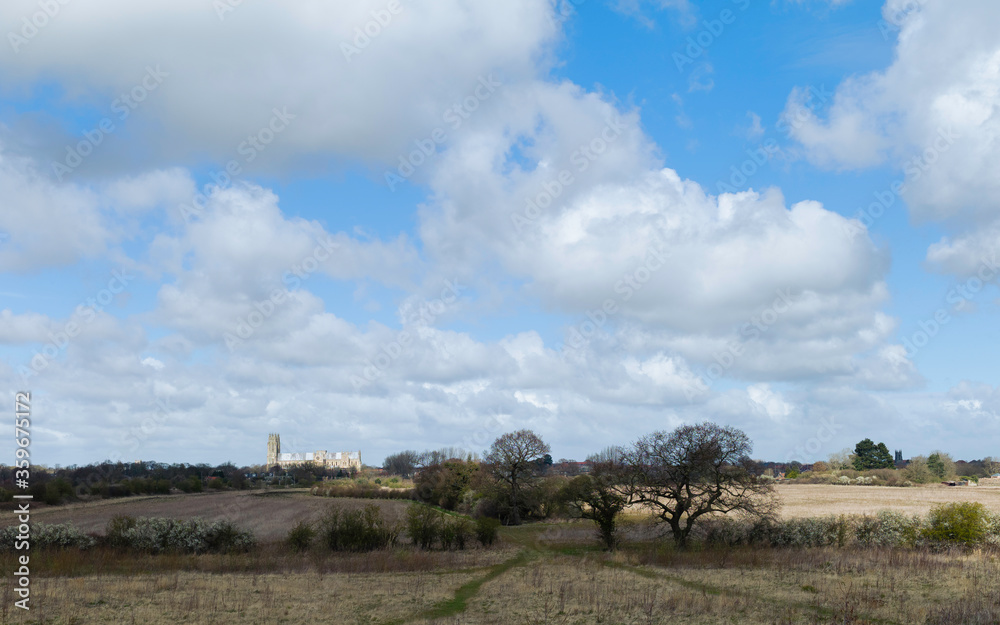 Fallow land with trees and fields with minster on horizon in spring, Beverley, UK.