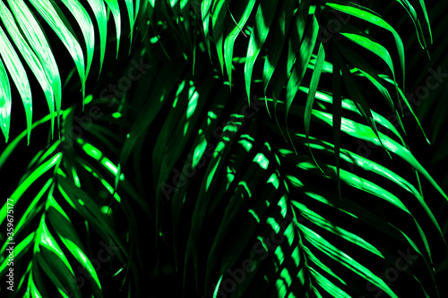 abstract green background with leave