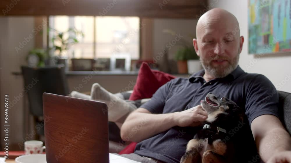 A man and his cute black chihuahua dog work on a laptop while sitting on the couch at home