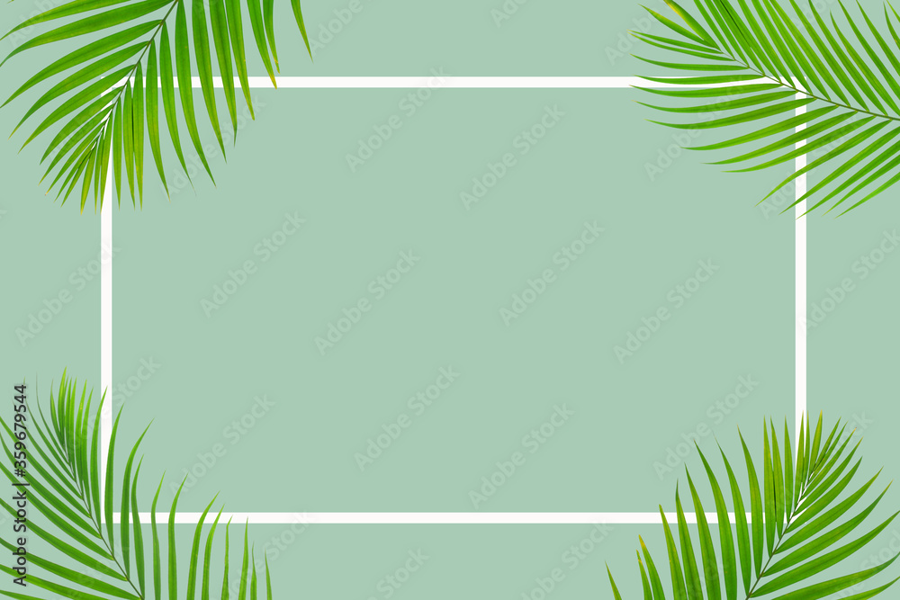 Natural green palm leaf with white frame on pastel green background, nature background