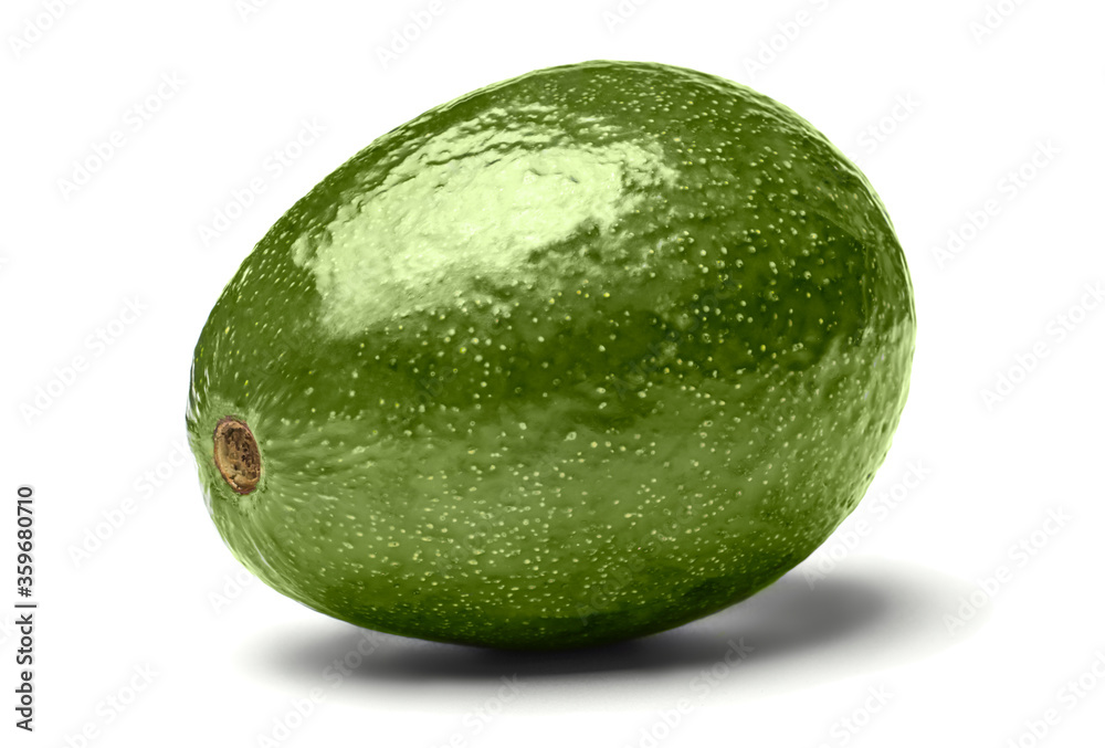 large round green avocado on white background large round green avocado on white background