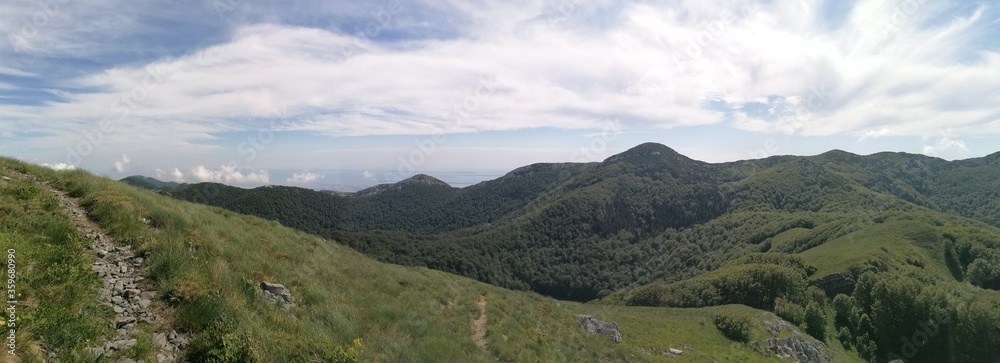 Fototapeta premium panorama of the mountains