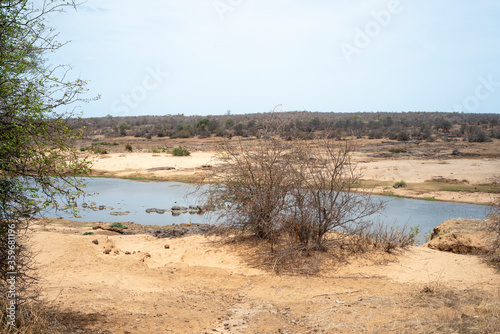 rivi  re Letaba  Parc national Kruger  Afrique du Sud
