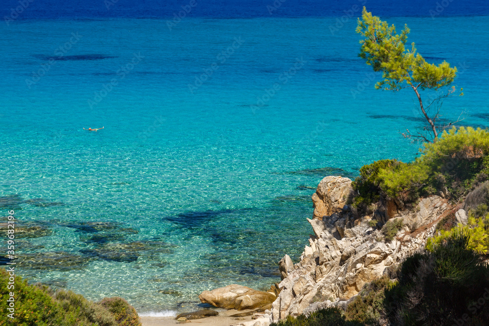 Cliffs Sithonia with pine trees growing on them. Pine tree, against on the background of a clear and transparent blue sea, green conifer tree, growing on stones