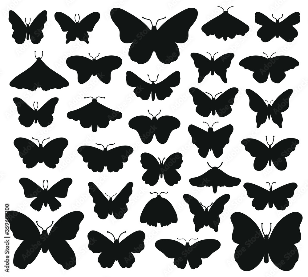 Butterflies silhouettes. Hand drawn butterfly, drawing insect graphic. Black drawing butterflies silhouettes isolated vector illustration set. Insect butterfly black silhouette, hand drawn form